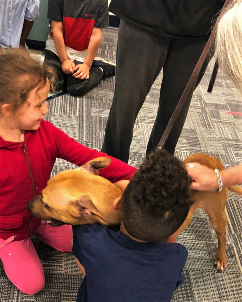 Students Petting Holly for column (2) – Friends of the Animal Shelter