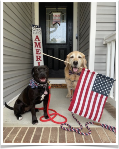 Azalea (left) gets patriotic with her new step sibling.